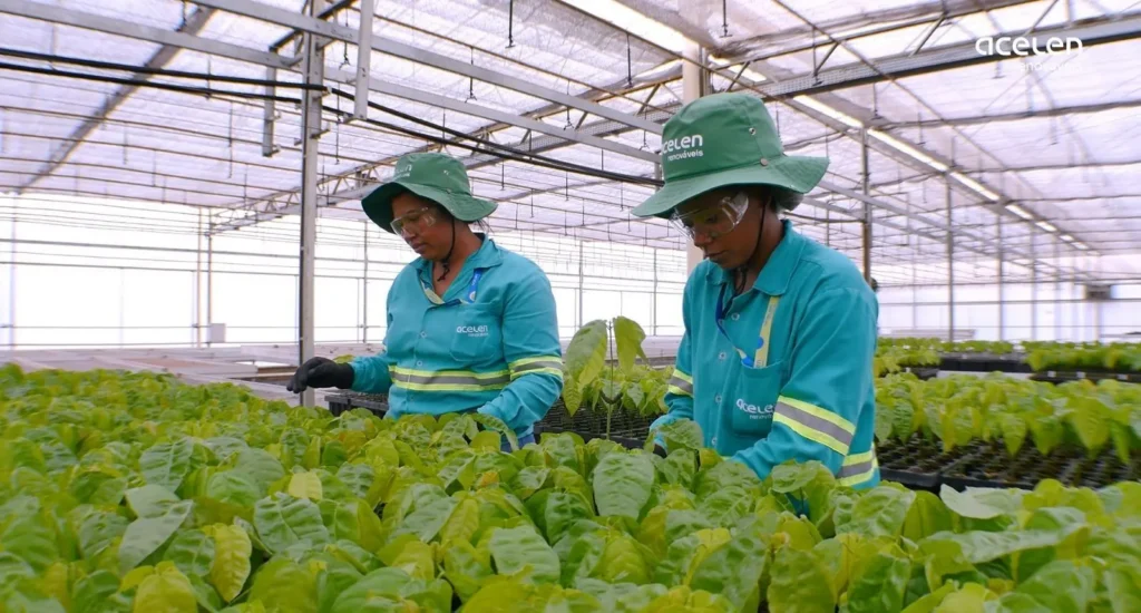 Acelen fecha parceria com startup europeia para rastreamento eficaz