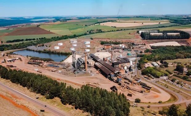 São Martinho tem alta de 64,6% no lucro líquido trimestral