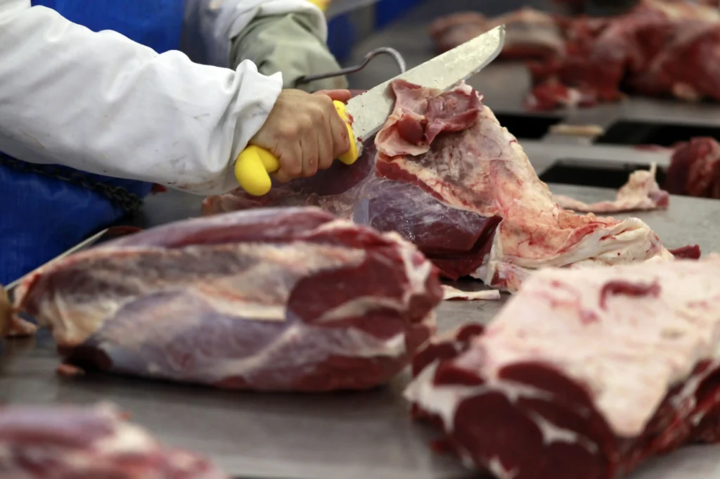Indonésia habilita 21 novas plantas brasileiras de carne bovina para exportação